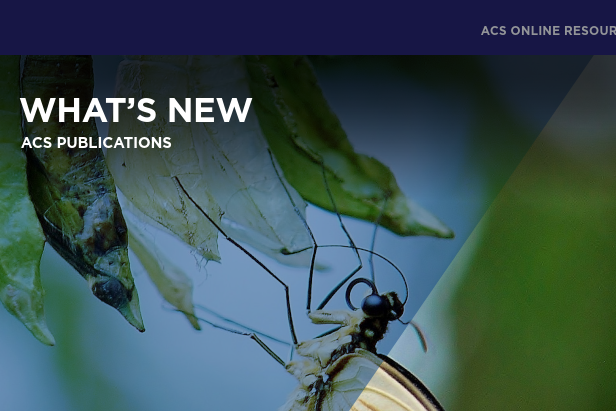 螢幕擷取畫面 2025 04 18 145913