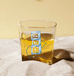 ACS gift sample 2025 ACS Quiz